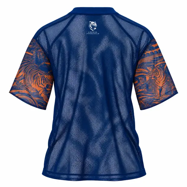 Aragua Mesh 2026